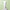 MIXSOON Centella  Cleansing  Foam 20 ML