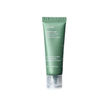 ANUA Heartleaf Quercetinol Pore Deep Cleansing Foam Mini